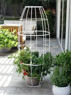 Toki Bubble Trellis -Gardenhaus Shop 8600520 05V tif