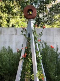 Bird Cafe + Akoris Garden Tuteur Sr. -Gardenhaus Shop 8600525 07v