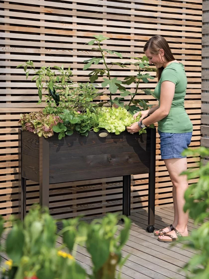 Eco-Stain Rolling Patio Garden 3 Eco-Stain Rolling Patio Garden