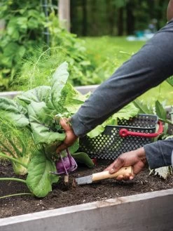 Gardener's Lifetime Hori Hori Knife -Gardenhaus Shop 8608888 0422 tif