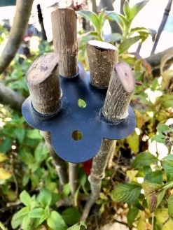 Garden Cane Connects, Set Of 6 -Gardenhaus Shop 8609019 01V tif