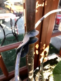 Garden Cane Connects, Set Of 6 -Gardenhaus Shop 8609019 03V tif