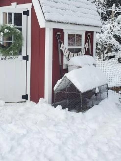 Chicken Wire Crop Coop -Gardenhaus Shop 8609080 03IN tif