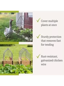 Chicken Wire Crop Coop -Gardenhaus Shop 8609080 2