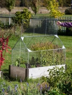 Chicken Wire Crop Coop -Gardenhaus Shop 8609080 4024