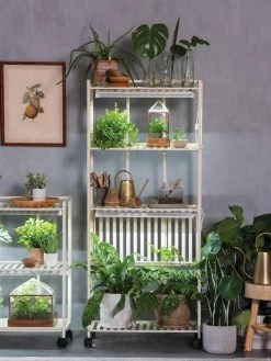 Oslo 4-Tier LED Grow Light Garden -Gardenhaus Shop 8609188 4118 tif