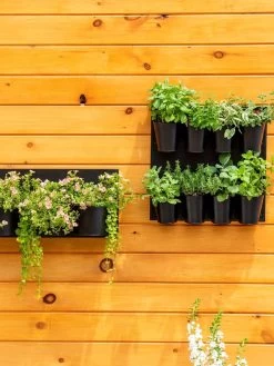 8 Pot Metal Wall Planter -Gardenhaus Shop 8609195 6250 tif