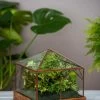 Art Decco Copper And Glass Terrariums 1 Art Decco Copper And Glass Terrariums -Gardenhaus Shop 8609210 0318 tif