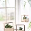 Copper And Glass Terrariums, Set Of 3 -Gardenhaus Shop 8609212 2964 tif