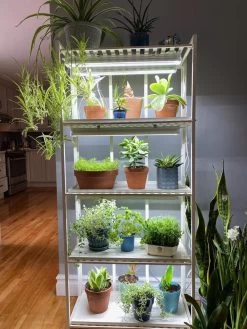 Oslo 4-Tier LED Grow Light Garden -Gardenhaus Shop 8609220 03IN tif