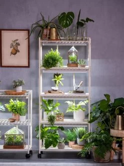 Oslo 4-Tier LED Grow Light Garden -Gardenhaus Shop 8609220 4116 tif