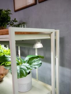 Oslo 2-Tier LED Grow Light Garden, 2 Fixtures -Gardenhaus Shop 8609221 4101 tif