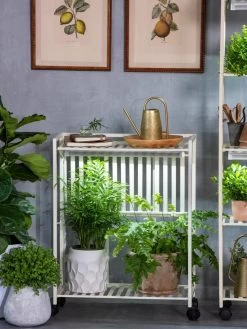 Oslo 2-Tier LED Grow Light Garden, 2 Fixtures -Gardenhaus Shop 8609221 7236 tif