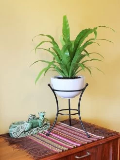 Achla Designs Multi Use Stand -Gardenhaus Shop 8609343 05v