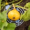 Melon And Squash Cradles, Set Of 6 2 Melon And Squash Cradles, Set Of 6 -Gardenhaus Shop 8609464 0235 tif