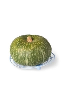 Melon And Squash Cradles, Set Of 6 -Gardenhaus Shop 8609464 5204 tif