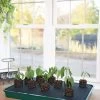 Self-Watering Tray -Gardenhaus Shop 8609872 9019 tif