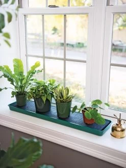 Self-Watering Windowsill Tray -Gardenhaus Shop 8609873 9011 tif