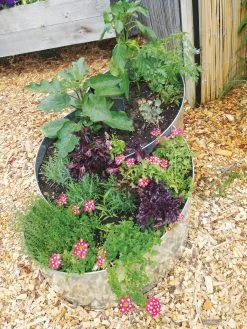 Curved Metal Raised Bed
