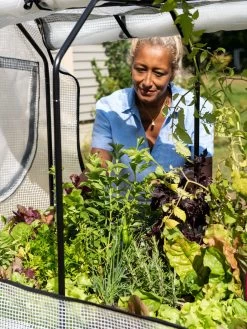 VegTrug®Patio Garden Greenhouse Cover Kit -Gardenhaus Shop 8610172 1256