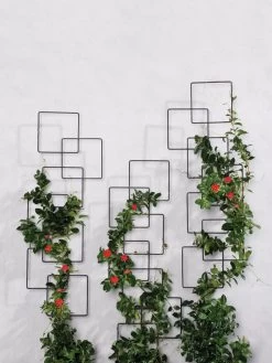 Building Blocks Wall Trellis, 45" -Gardenhaus Shop 8610183 5811 tif