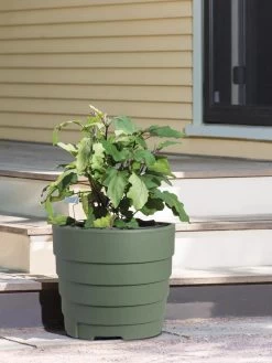 Gardener’s Victory Self-Watering Patio Planter -Gardenhaus Shop 8610236 015143 tif