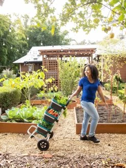 Mod Hod Trolley With Teal Mod Hods 9 Mod Hod Trolley With Teal Mod Hods -Gardenhaus Shop 8610240 0070 tif