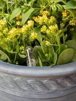 Adjustable Self-Watering Insert For Pots And Planters -Gardenhaus Shop 8610250 0010 tif