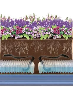 Adjustable Self-Watering Insert For Pots And Planters -Gardenhaus Shop 8610250 SWInsert art Trough tif