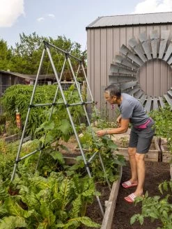 Connector Kit For DIY A Frame Plant Support -Gardenhaus Shop 8610366 7584 tif