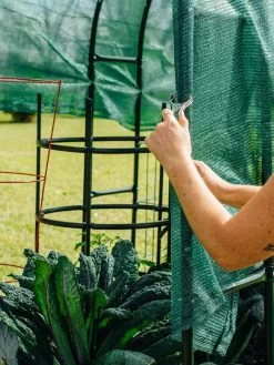 Maxi Garden Hoops With Clips -Gardenhaus Shop 8610372 368 tif