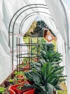 Maxi Garden Hoops With Clips -Gardenhaus Shop 8610373 377 tif