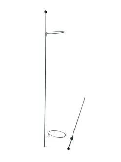 Peacock Mini Plant Support Rings 4", Set Of 2 -Gardenhaus Shop 8610386 9566