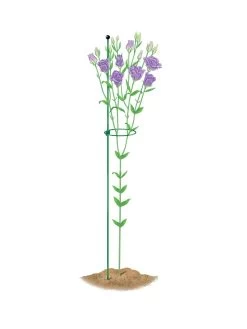 Peacock Mini Plant Support Rings 4", Set Of 2 -Gardenhaus Shop 8610386 peacock4x36