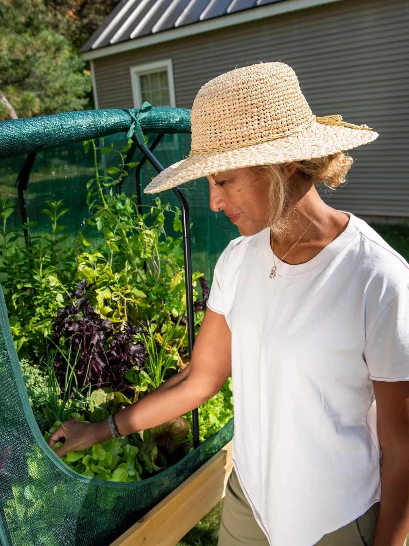 Compact VegTrug® Shade Cover 4 Compact VegTrug® Shade Cover - Image 2