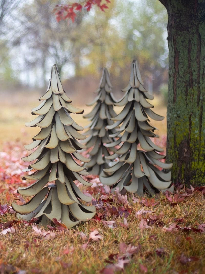 Desert Steel Blue Atlas Cedar 6 Desert Steel Blue Atlas Cedar - Image 4