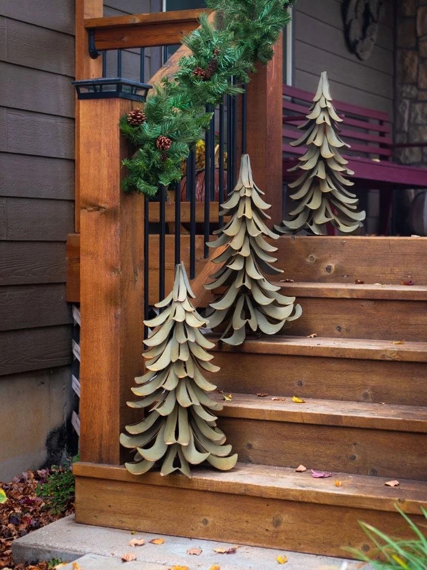 Desert Steel Blue Atlas Cedar 4 Desert Steel Blue Atlas Cedar - Image 2