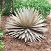Desert Steel Yucca Plant Sculpture -Gardenhaus Shop 8610744 03v desert steel yucca plant