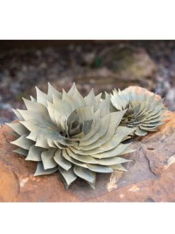 Desert Steel Spiral Aloe Sculpture 13 Desert Steel Spiral Aloe Sculpture -Gardenhaus Shop 8610749 03v