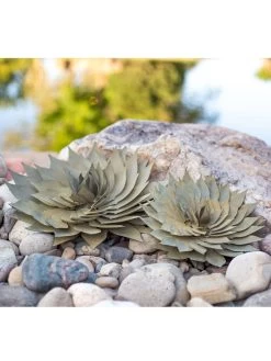 Desert Steel Spiral Aloe Sculpture 14 Desert Steel Spiral Aloe Sculpture -Gardenhaus Shop 8610749 04v