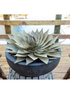 Desert Steel Spiral Aloe Sculpture 16 Desert Steel Spiral Aloe Sculpture -Gardenhaus Shop 8610750 02v