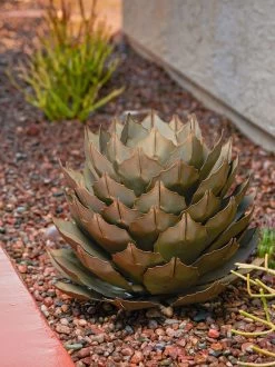 Desert Steel Artichoke Agave Sculpture -Gardenhaus Shop 8610761 042v