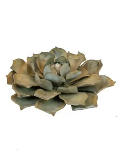 Desert Steel Blue Rose Succulent Sculpture 11 Desert Steel Blue Rose Succulent Sculpture -Gardenhaus Shop 8610763 01v desert steel blue rose succulent small