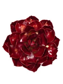 Desert Steel Ruby Rose Succulent Sculpture, Small -Gardenhaus Shop 8610767 03v
