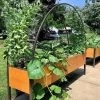 2’ X 8’ Arch Trellis For Planter Boxes -Gardenhaus Shop 8610798 03IN arch trellis for 2 x 8 planter box tif