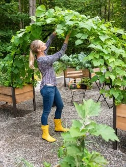 2’ X 8’ Arch Trellis For Planter Boxes -Gardenhaus Shop 8610798 050 tif