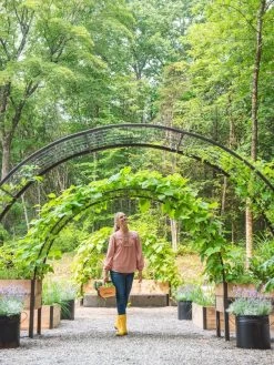 2’ X 8’ Arch Trellis For Planter Boxes -Gardenhaus Shop 8610798 071 tif