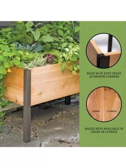 Elevated Planter Box, 2' X 4' -Gardenhaus Shop 8610894 3