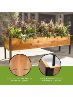Elevated Planter Box, 2' X 8' -Gardenhaus Shop 8610895 3