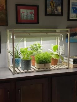 Oslo 1-Tier LED Grow Light Garden -Gardenhaus Shop 8611002 01IN tif